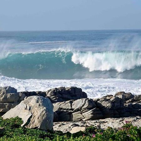 Whales & Waves Hermanus Exterior foto