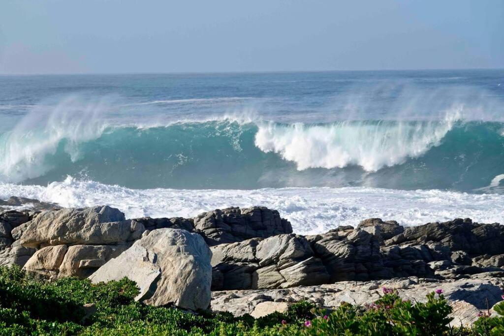Whales & Waves Hermanus Exterior foto