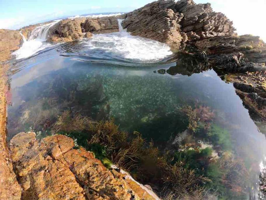 Whales & Waves Hermanus Exterior foto